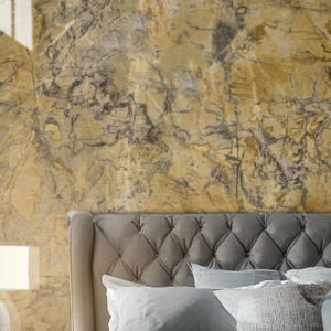 Petrified Oak Quartzite